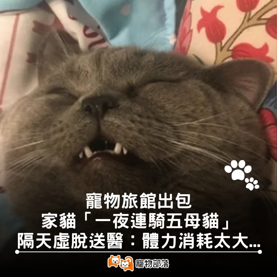 赵大江（互fo） tweet media