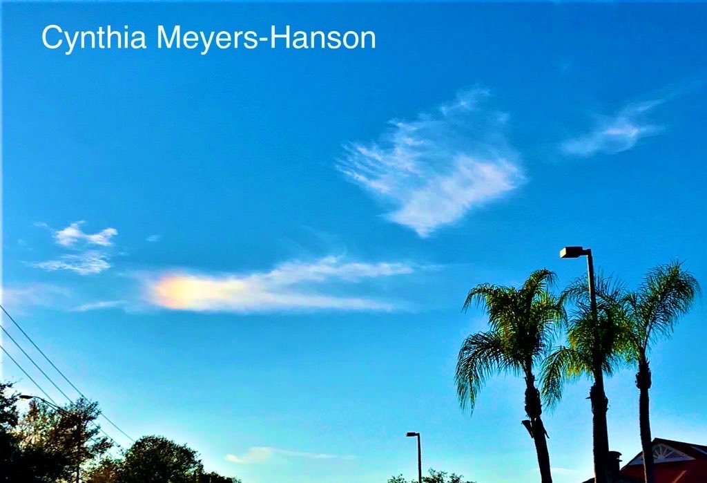 Sky-Princess-Cindy tweet media