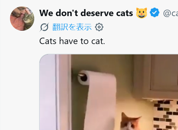 >RT
現状の機械翻訳はだいぶ怪しい部分も多いわけだが、この「猫は猫らねばならない」はなかなか味のある訳ではなかろうか。俺も猫りたい。