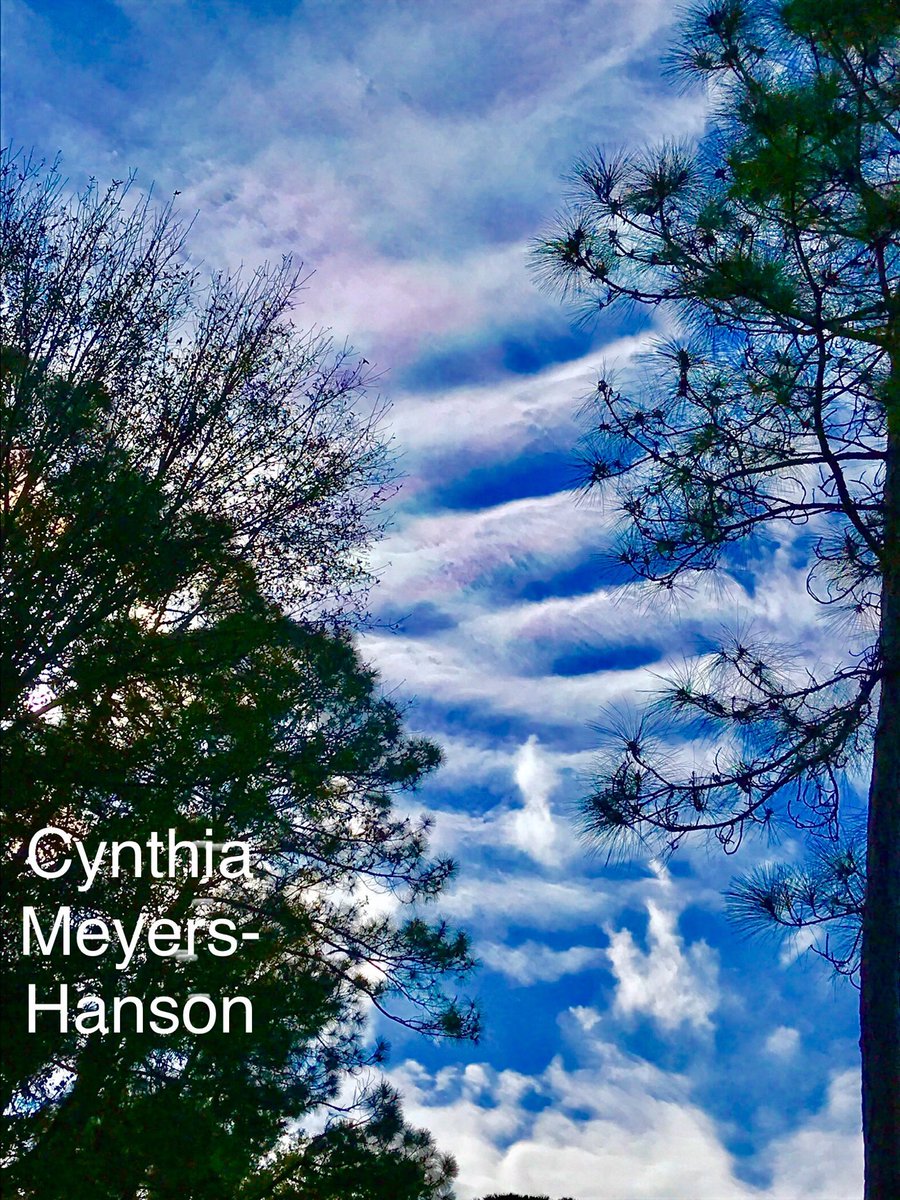 Sky-Princess-Cindy tweet media