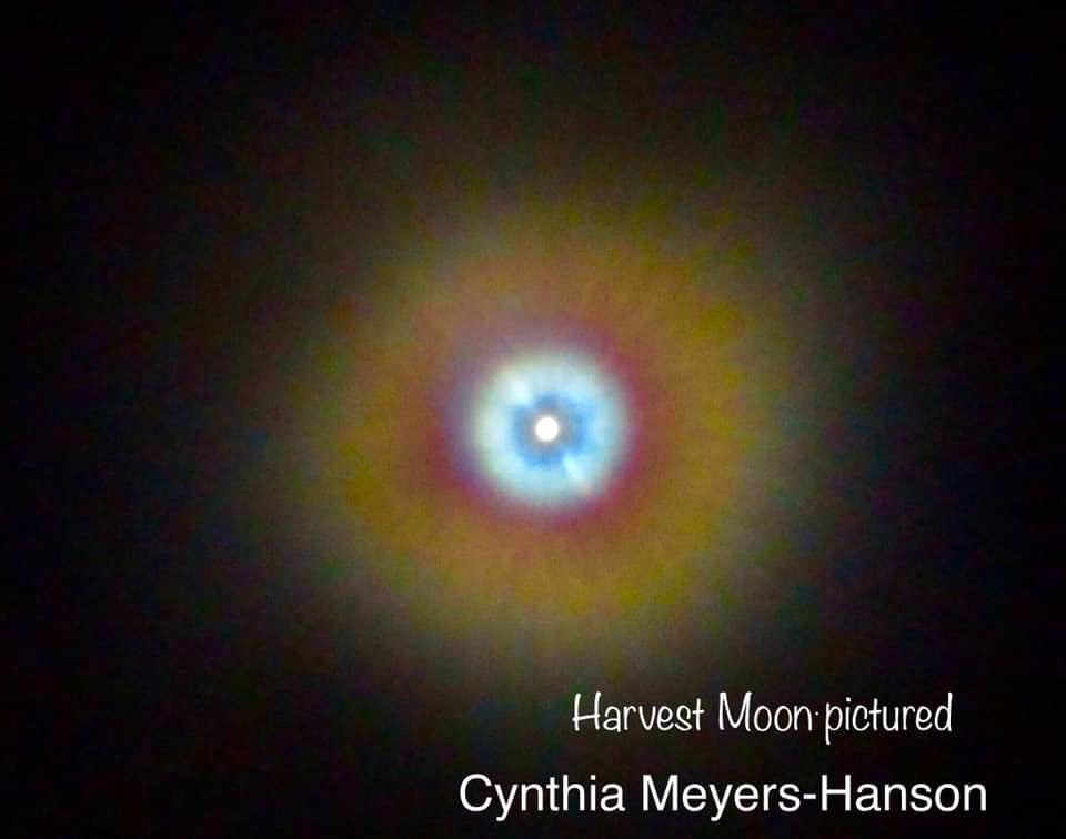 Sky-Princess-Cindy tweet media