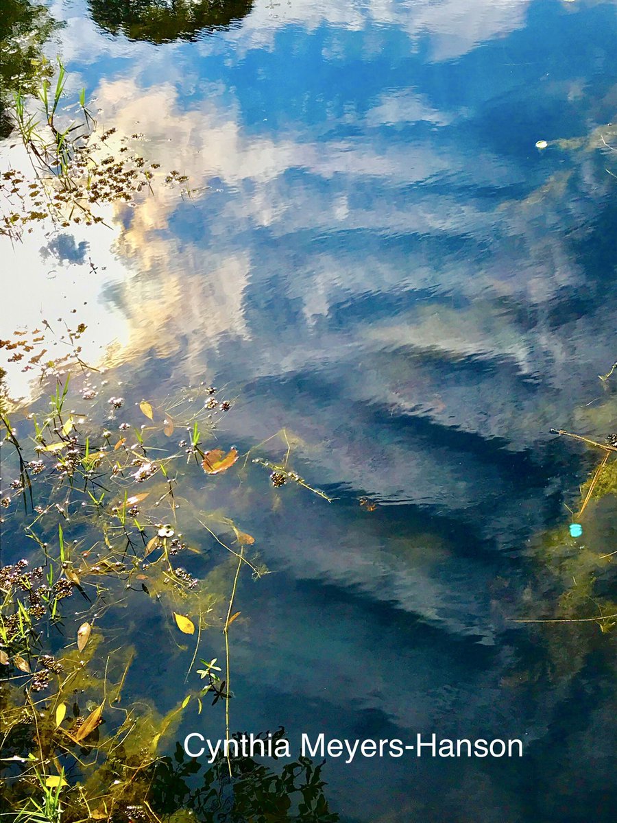 Sky-Princess-Cindy tweet media