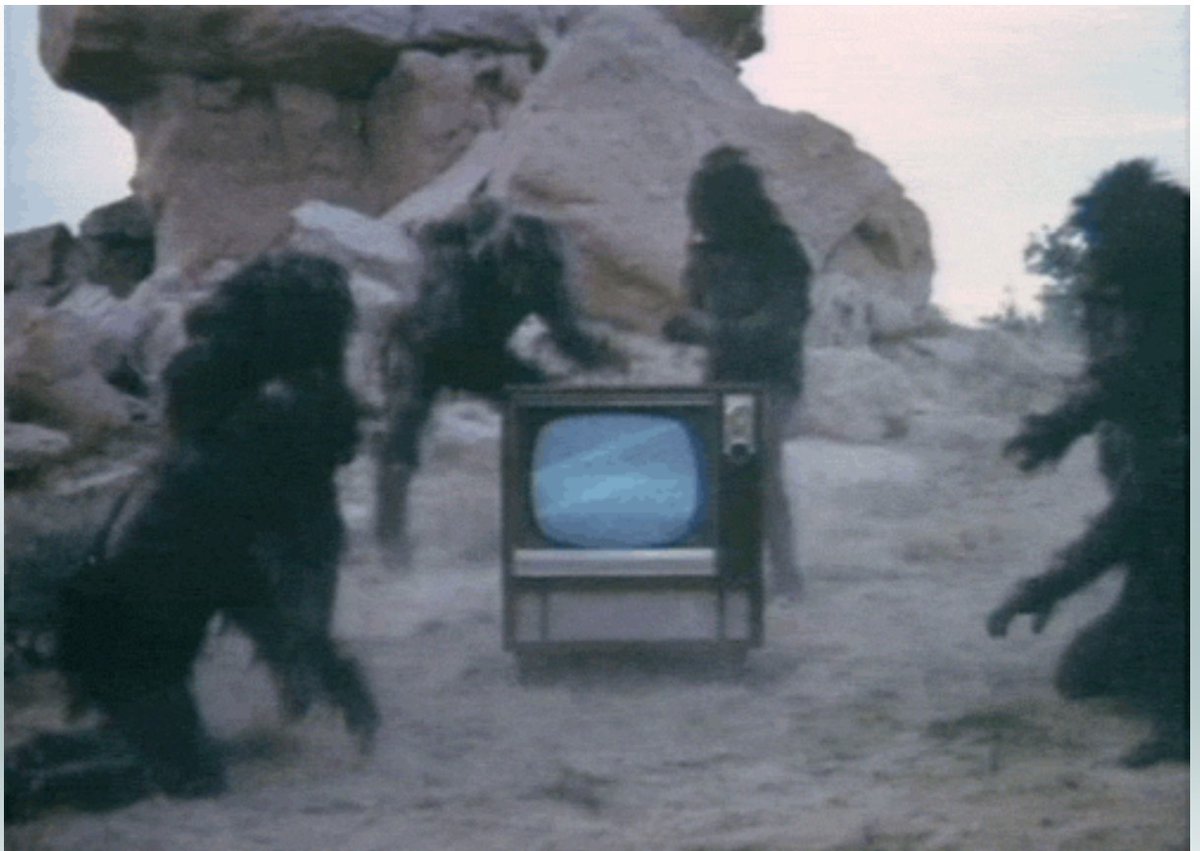 mailmanscott tweet media