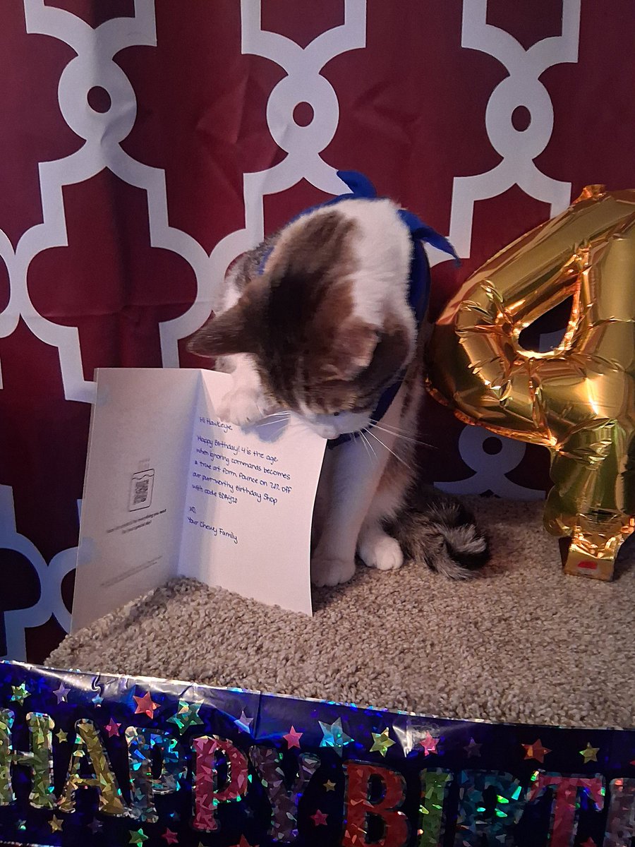 CornishRexMom's tweet photo. @Chewy Thank you for making Hawkeye's 4th birthday extra special. He said the card was especially delicious. We appreciate all you do for our fur kids. #happytabbycat #chewy #happybirthdaycat #hawkeyethefurryavenger https://t.co/ThJ5vAmxXa