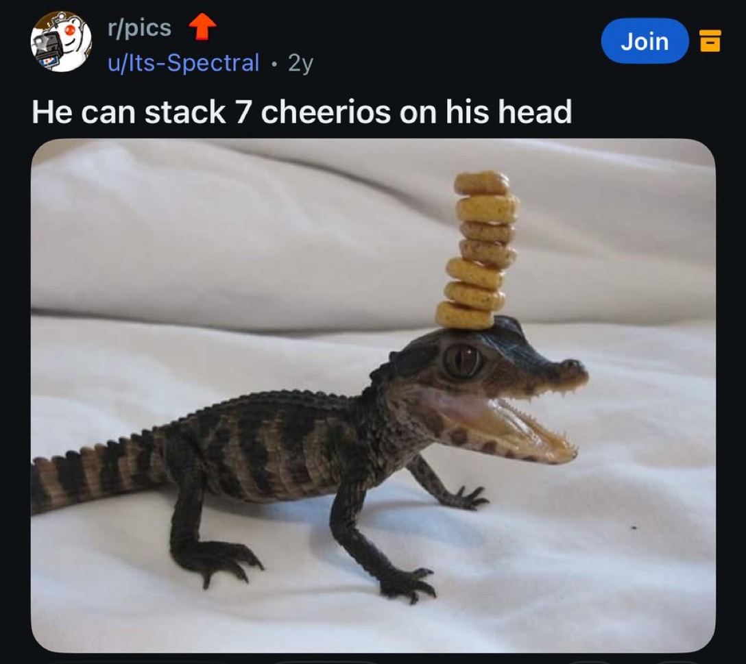 The Greatest Burger King Facts 🍉🐷👑 tweet media