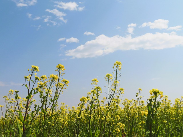 Bob Henry tweet media