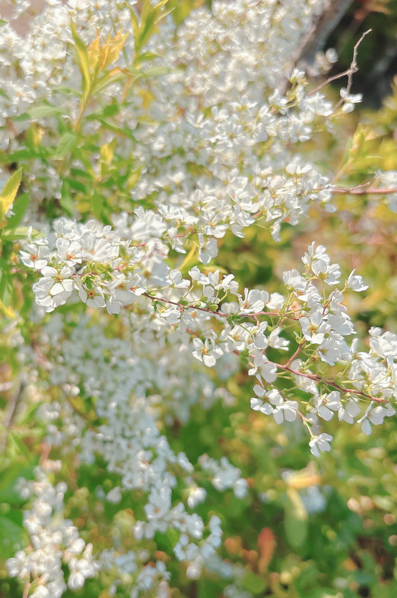 み音*💭🎼 tweet media