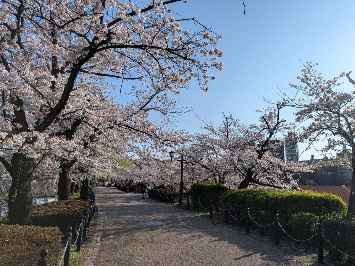 Chos Kiyokawa tweet media