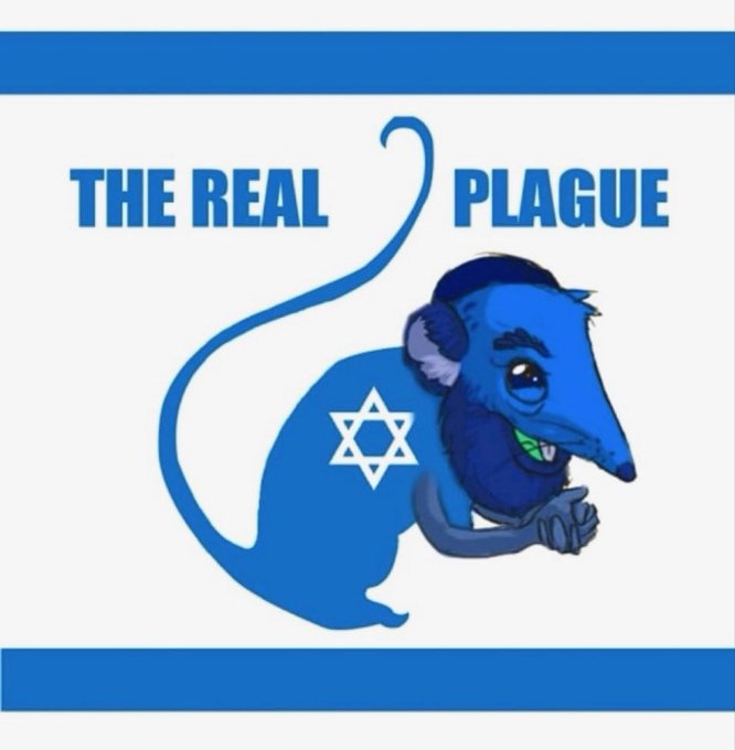 Kucing bunder 🇵🇸 tweet media