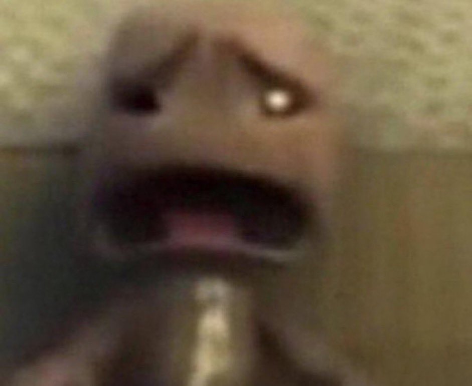 orita;🇦🇷 tweet media