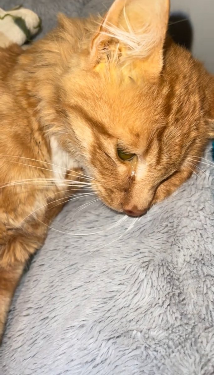 Dav Walker tweet media