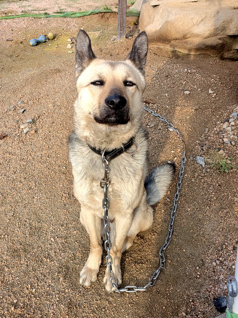 乳母車の弥七 tweet media