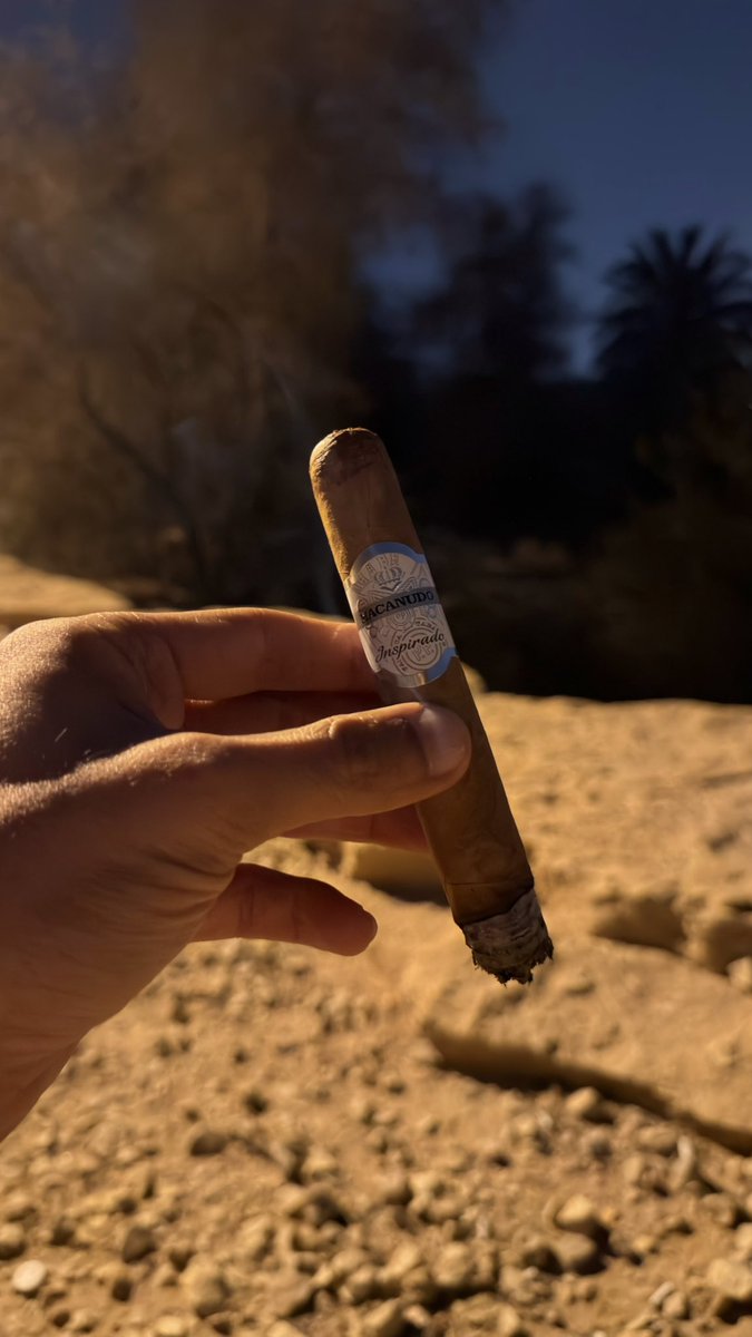 حفيد حصه tweet media