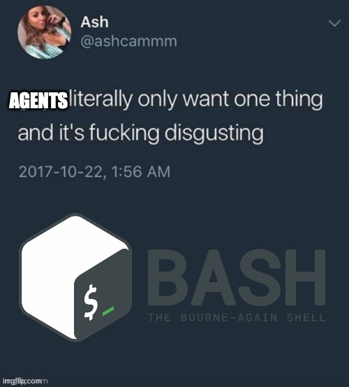 Mintlify gave its agent access to docs via just-bash + custom filesystem interface on top of Chroma DB.