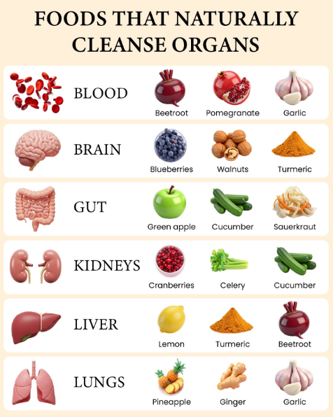 Barbara Oneill tweet media