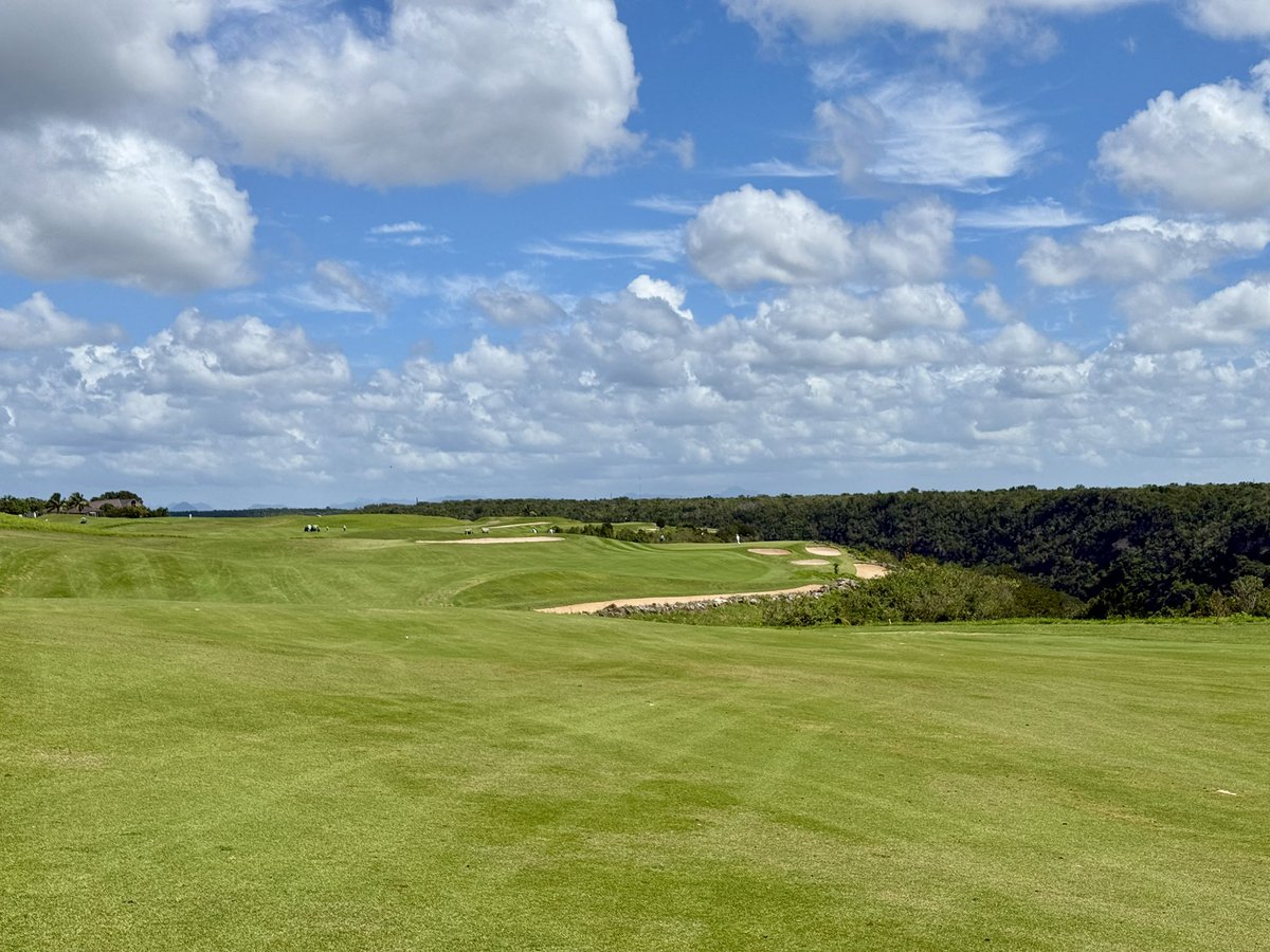 Tim Gavrich tweet media