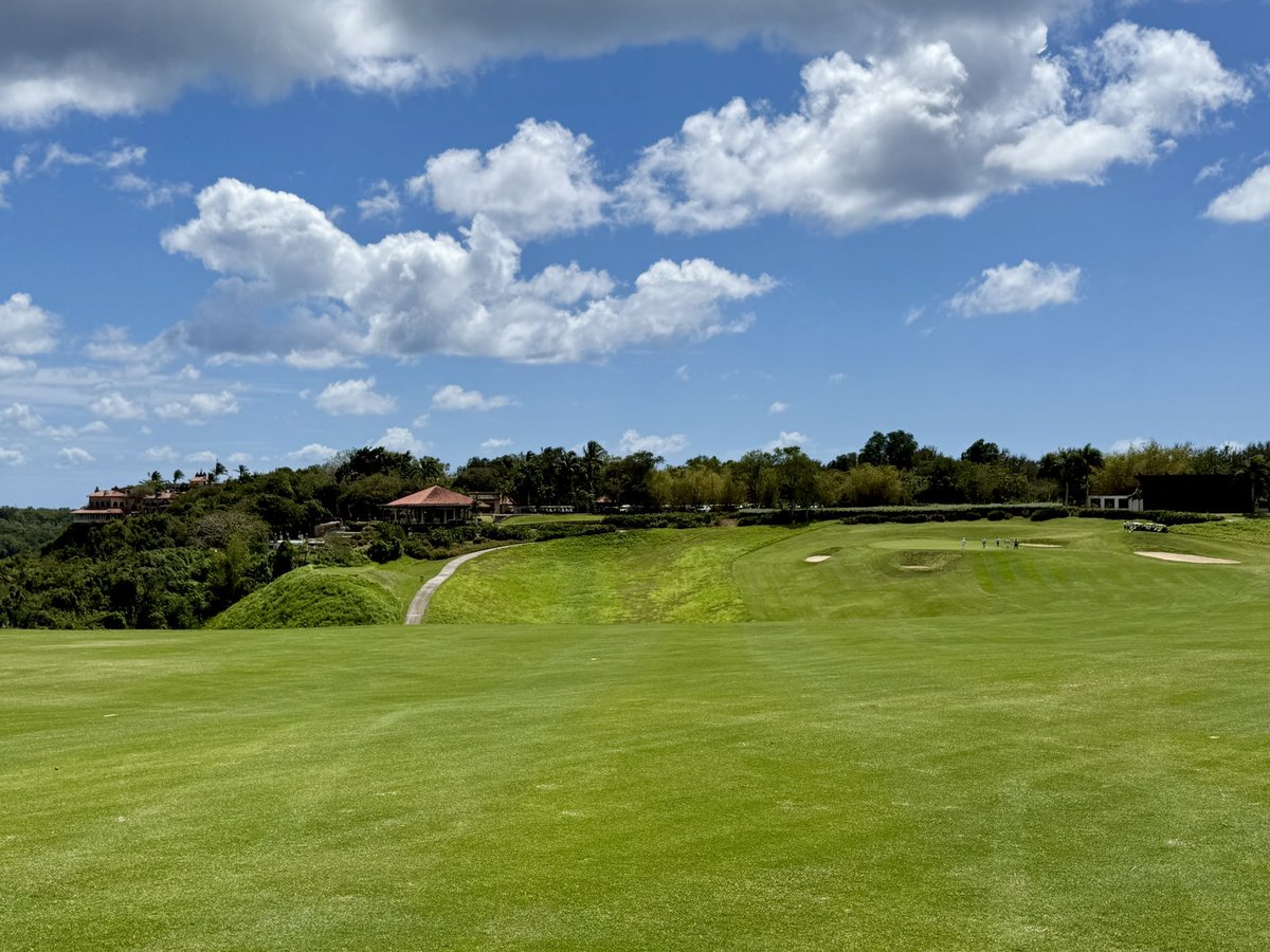 Tim Gavrich tweet media