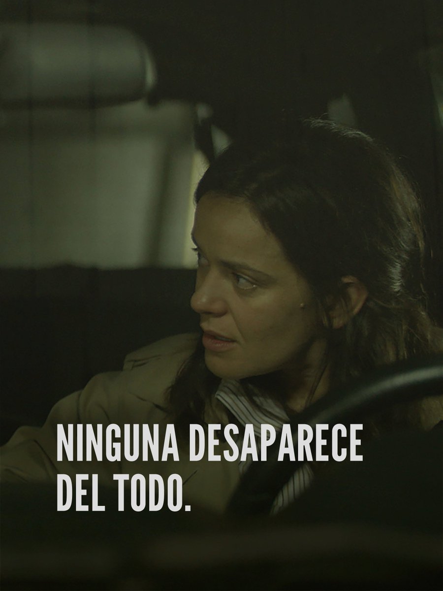 Talipot Studio tweet media