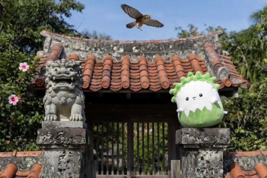 副業FX🥞SCA | SPACE🛰 tweet media