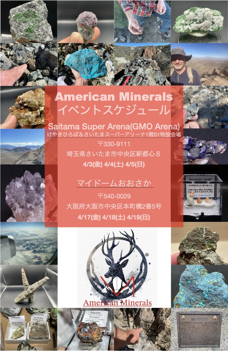 鉱物,原石American Minerals-アメリカンミネラルズ tweet media