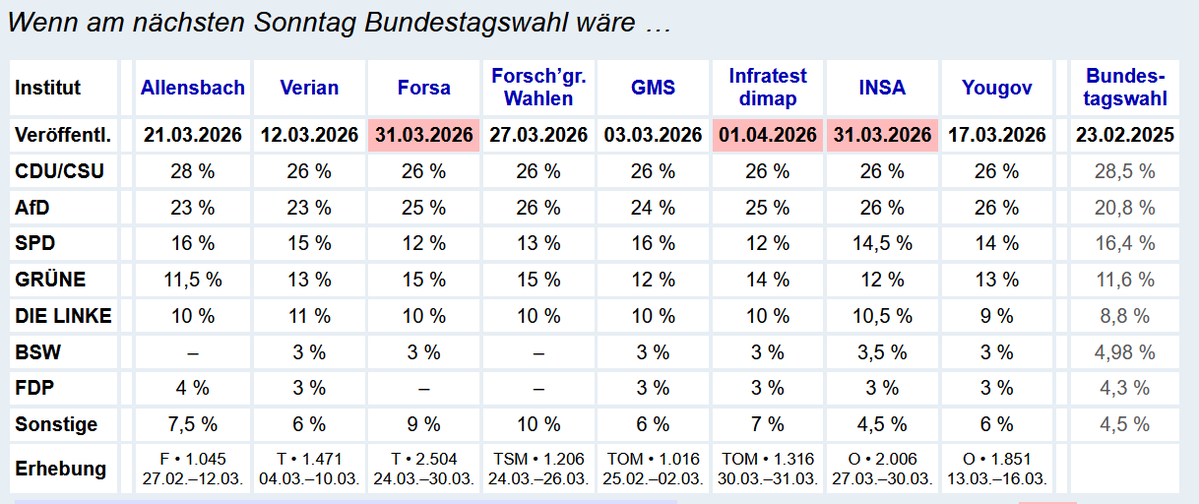 Vogelbeobachter tweet media