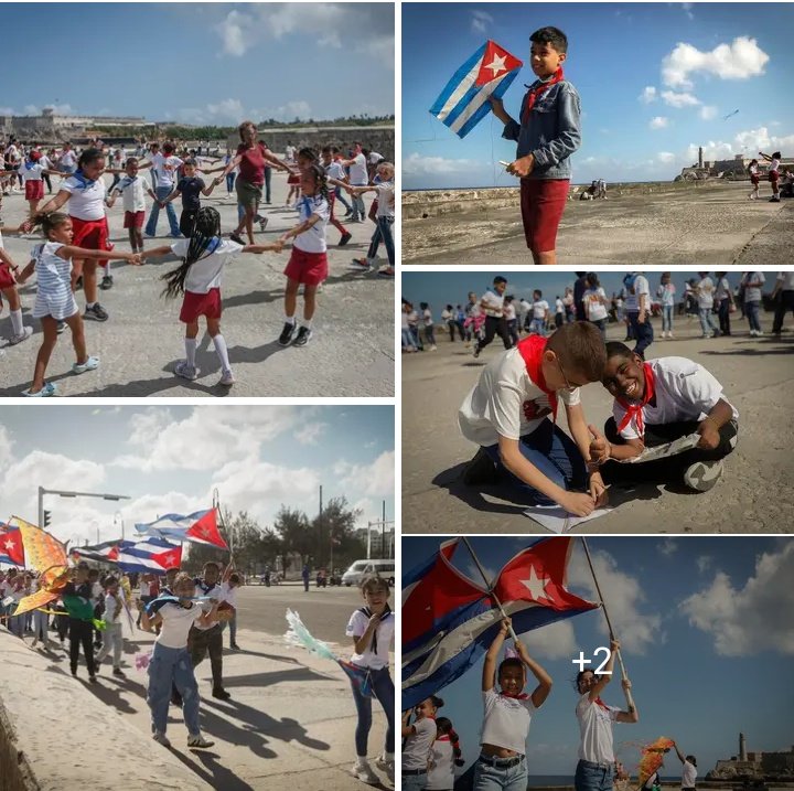 Centro Nacional de Sanidad Animal (CENASA) tweet media