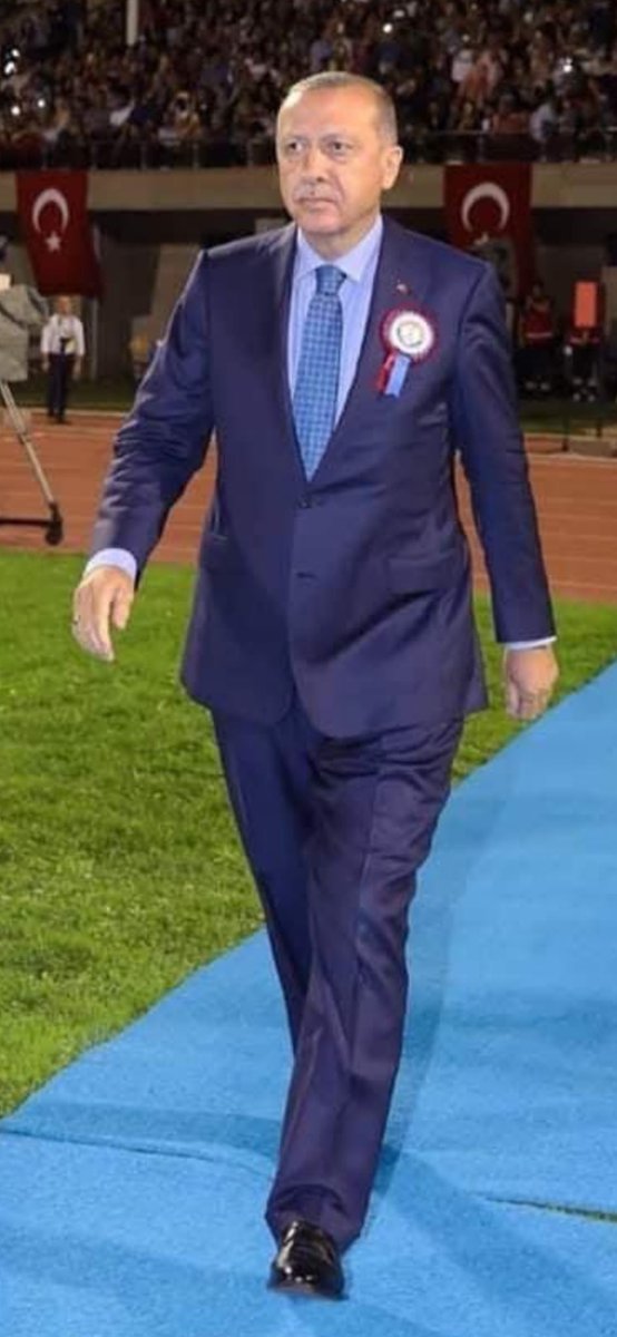 Ayseli Dogan tweet media