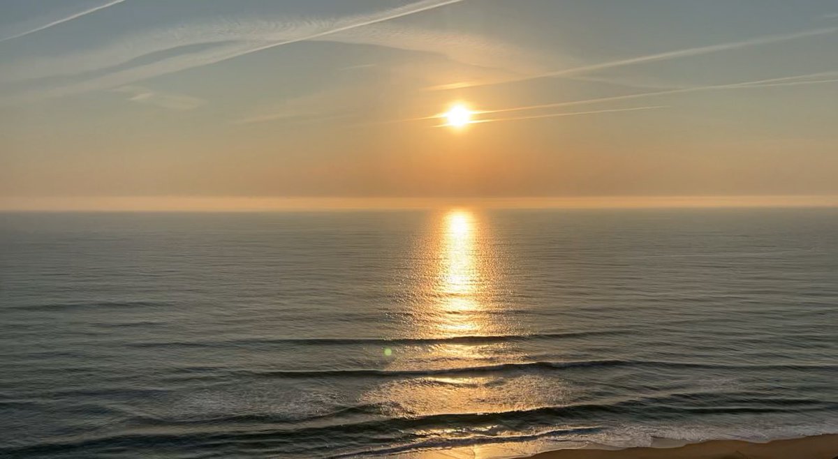 Con (yes) tweet media