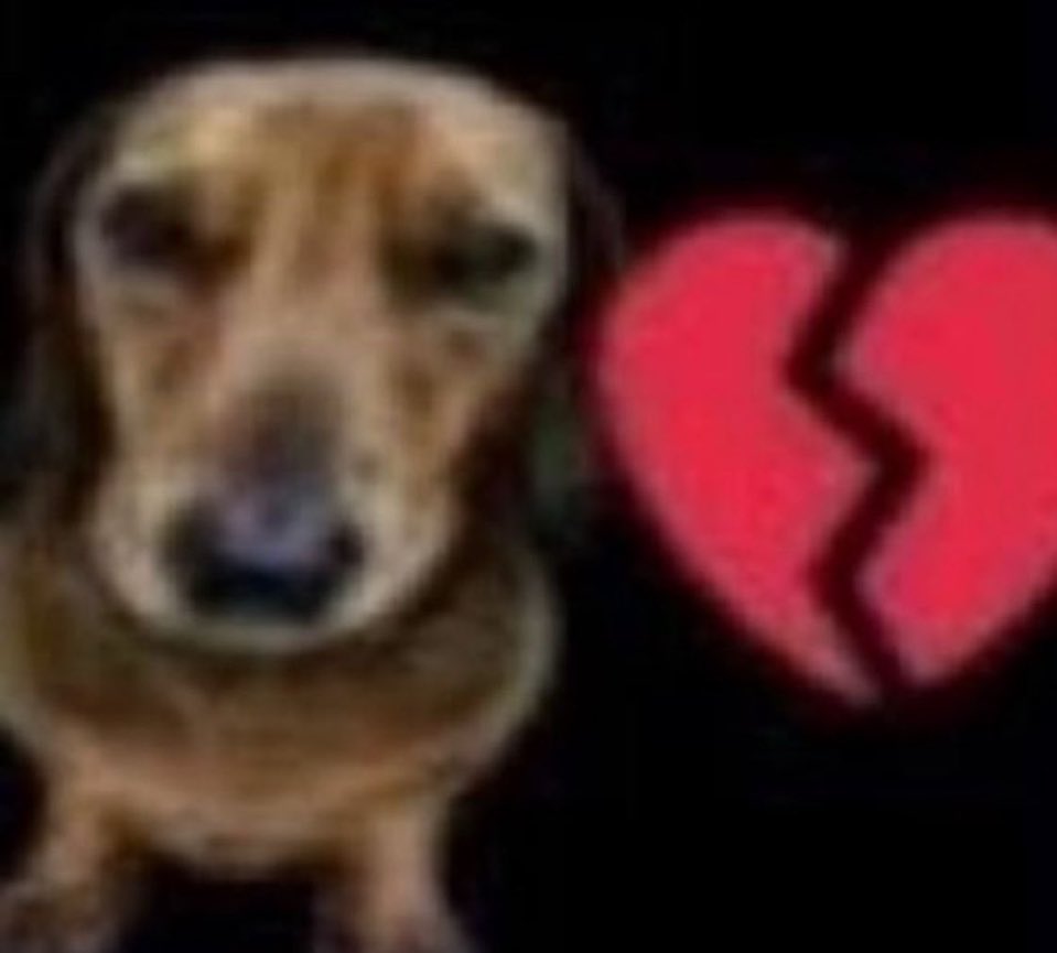 femboylilmoo tweet media