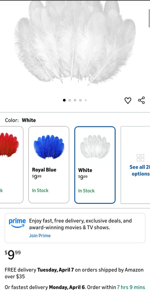 The Amazing Critter Man 🇺🇸🐍🔫 tweet media