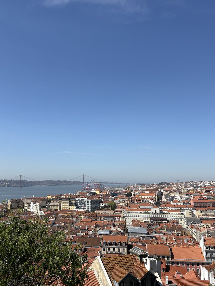 レモンライム tweet media