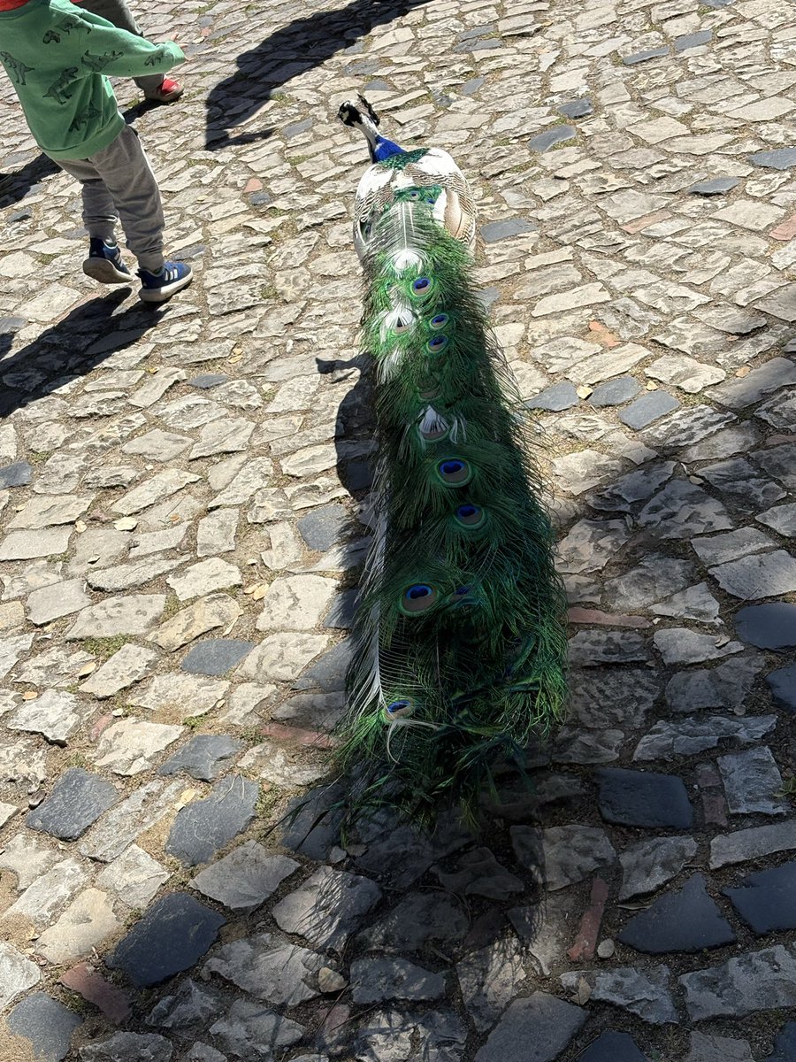 レモンライム tweet media