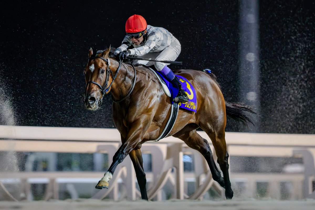 @๐๐ท๐ช๐ซ๐ต๐ฎ๐ tweet media