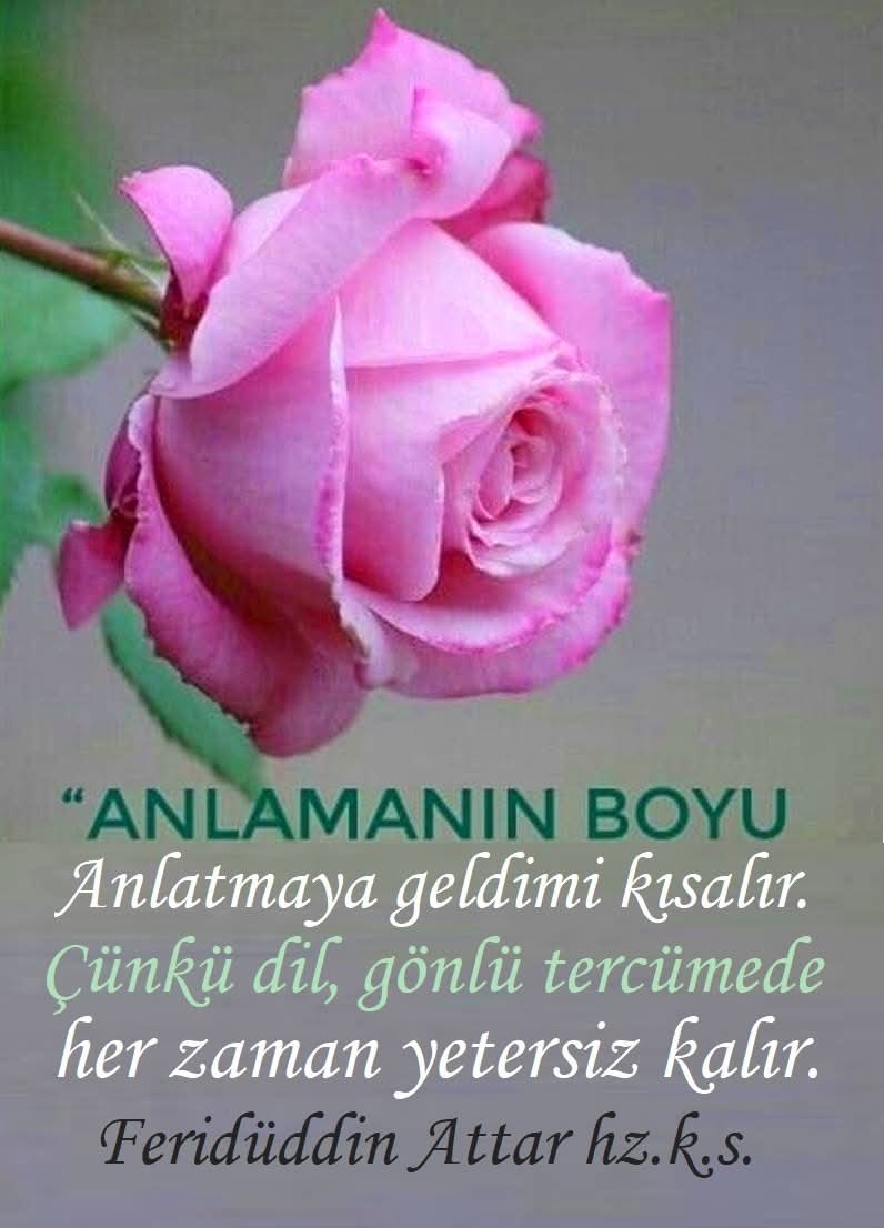 Buharalı tweet media