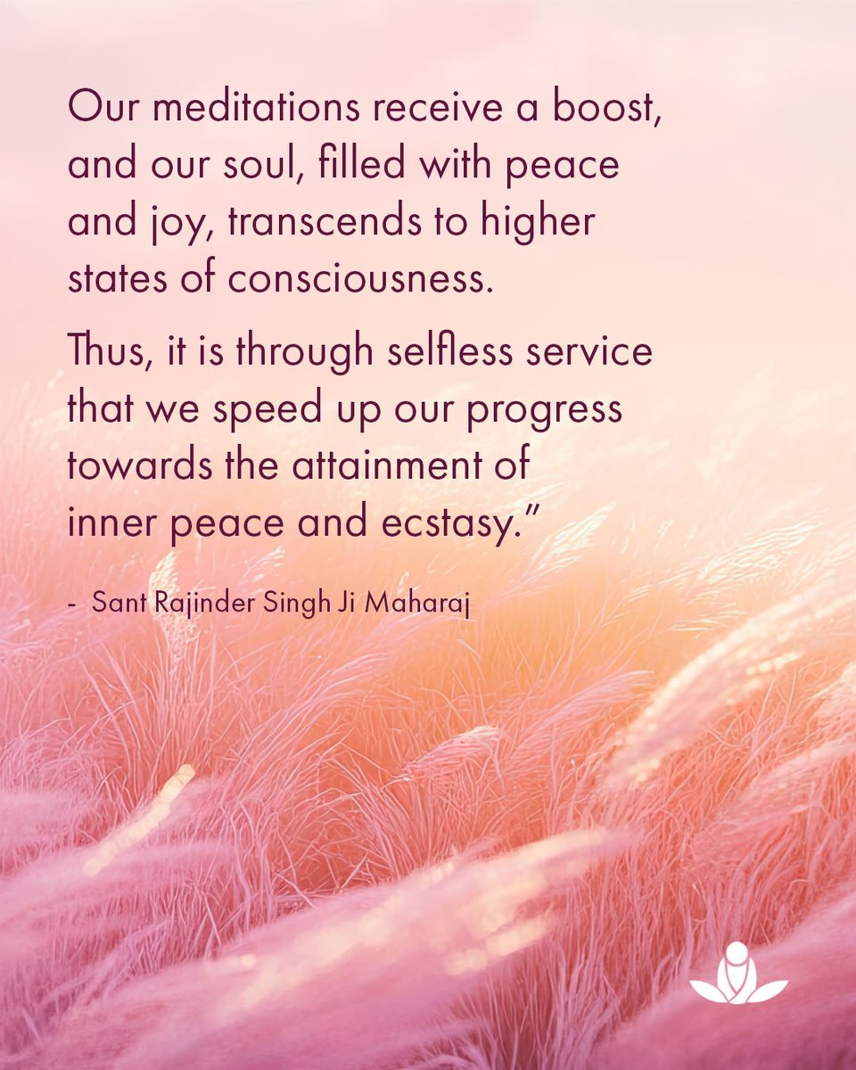 SOS Meditate tweet media