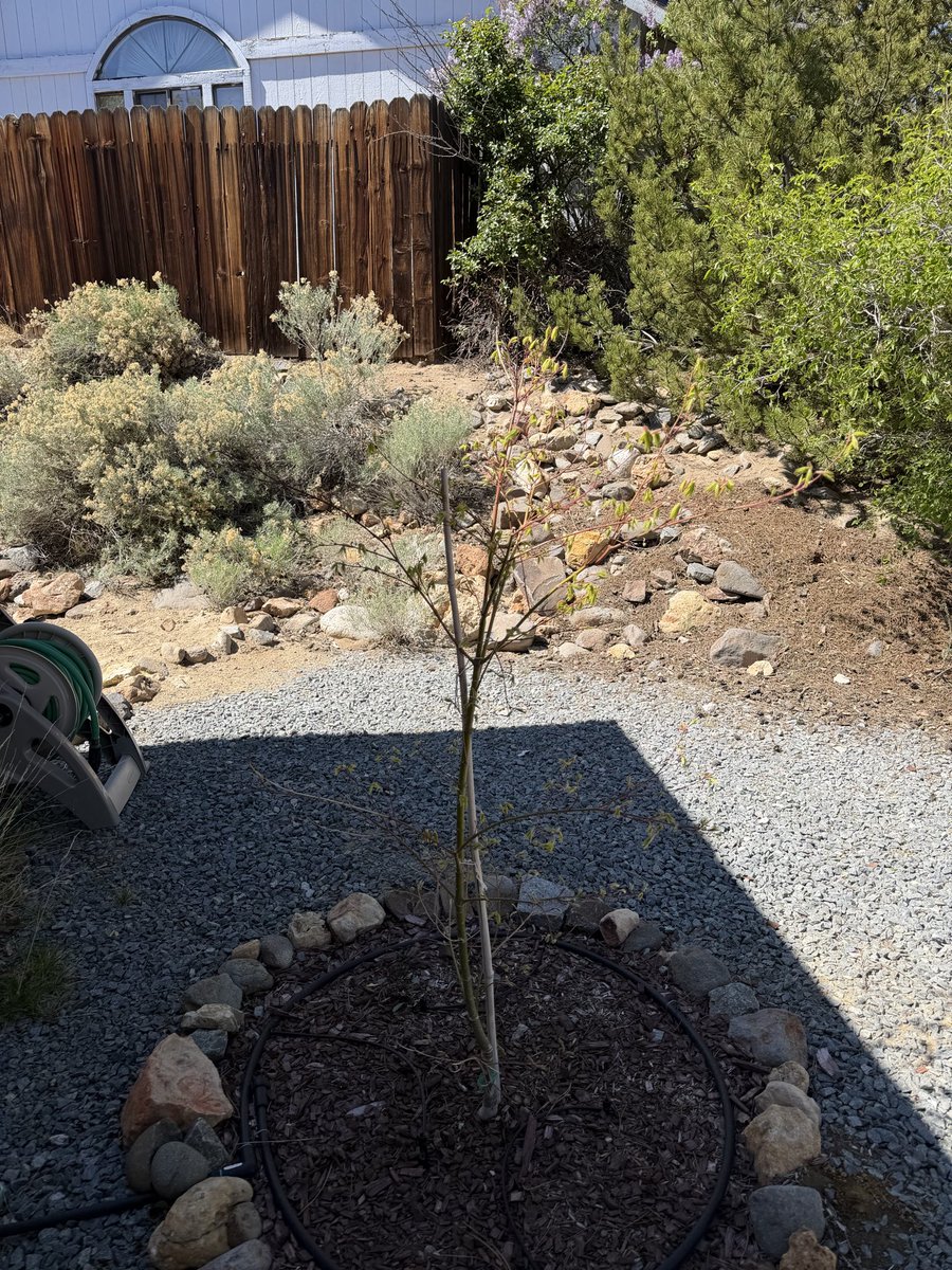 Mitch Markin tweet media