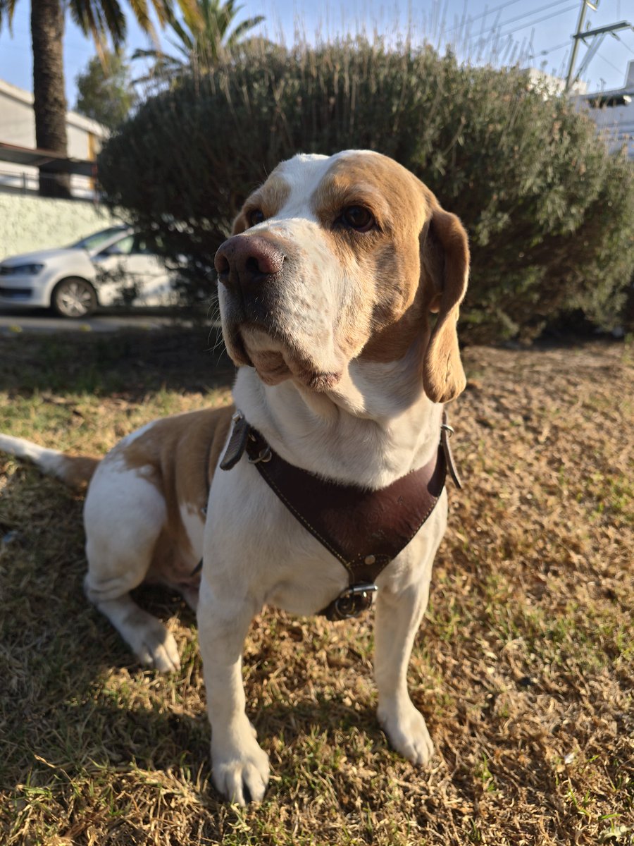 Barrilete cósmico 🪐 tweet media