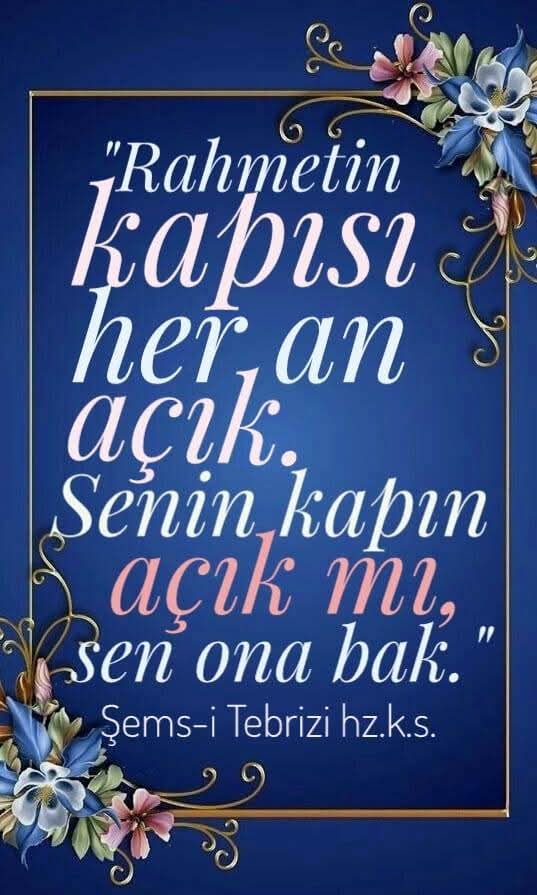 Buharalı tweet media