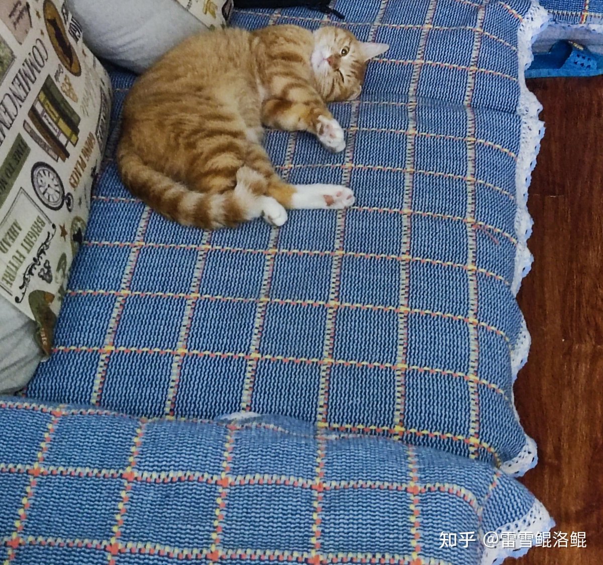 golu rajpoot tweet media