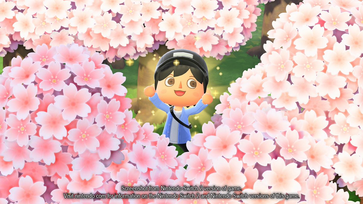 Nintendo of America tweet media