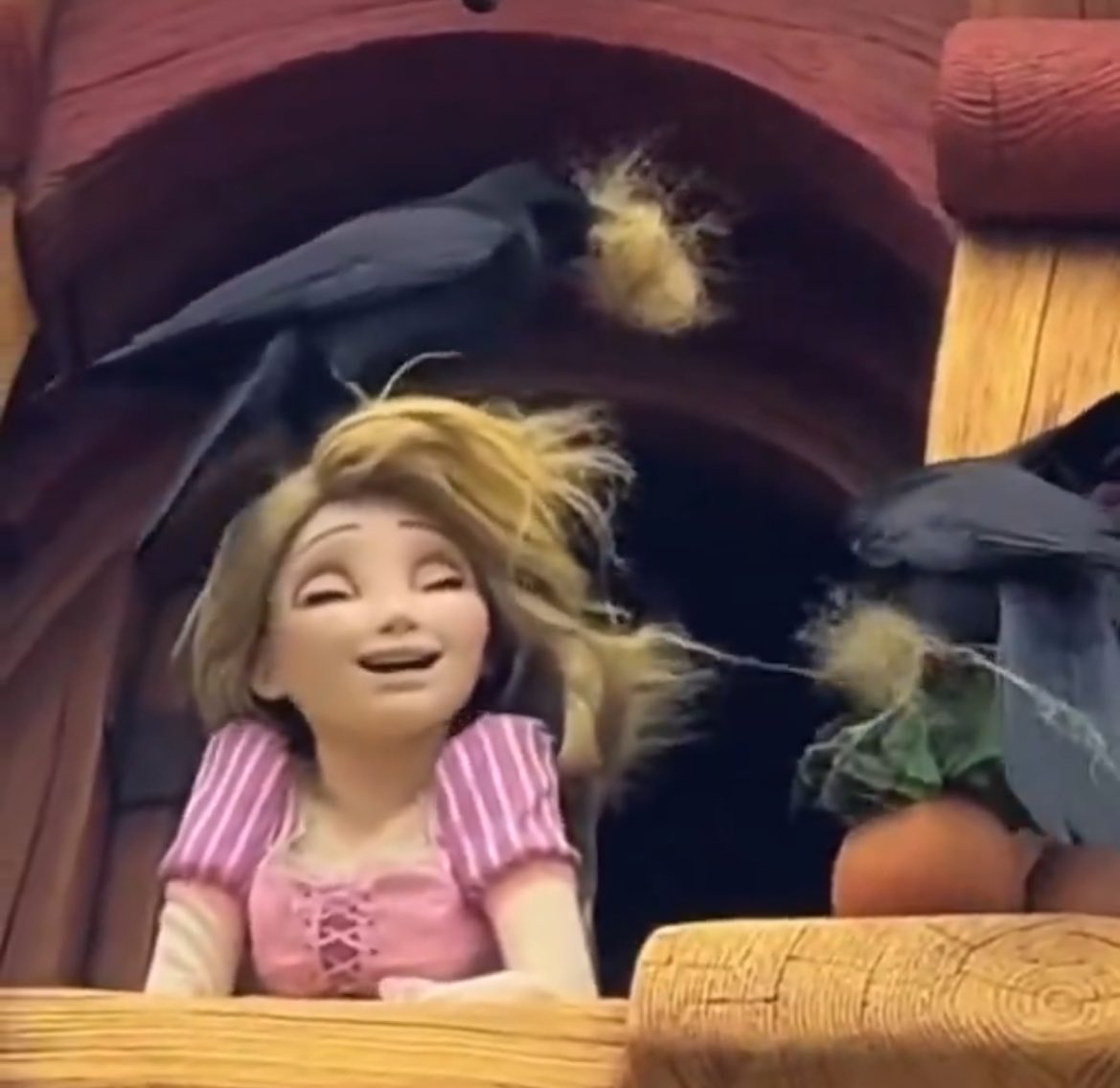 варя, держаться 🌿 tweet media