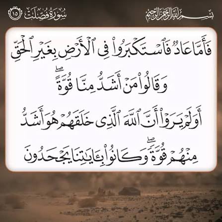 jamil jabri tweet media