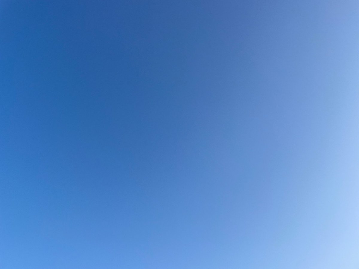 Mimirol Ipsum tweet media