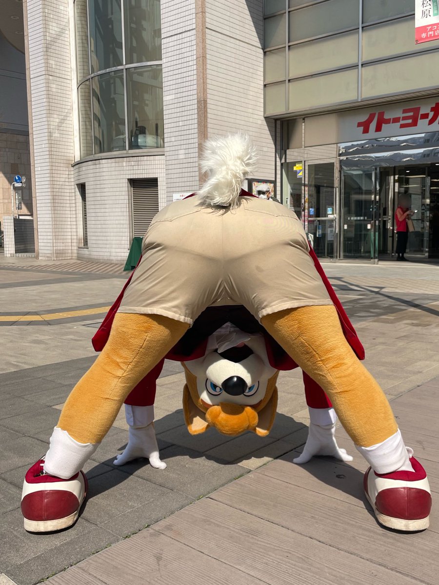 Mimirol Ipsum tweet media