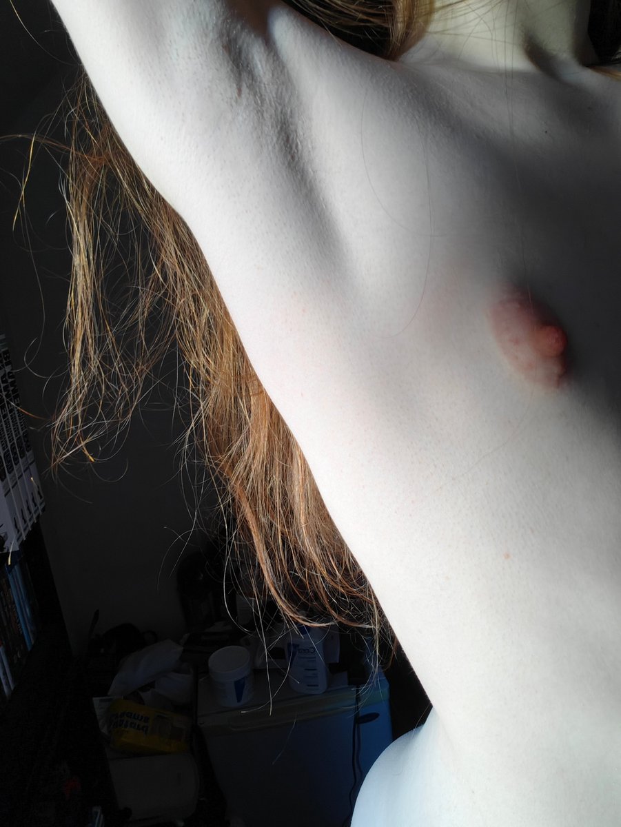 Goober (robo puppy) tweet media