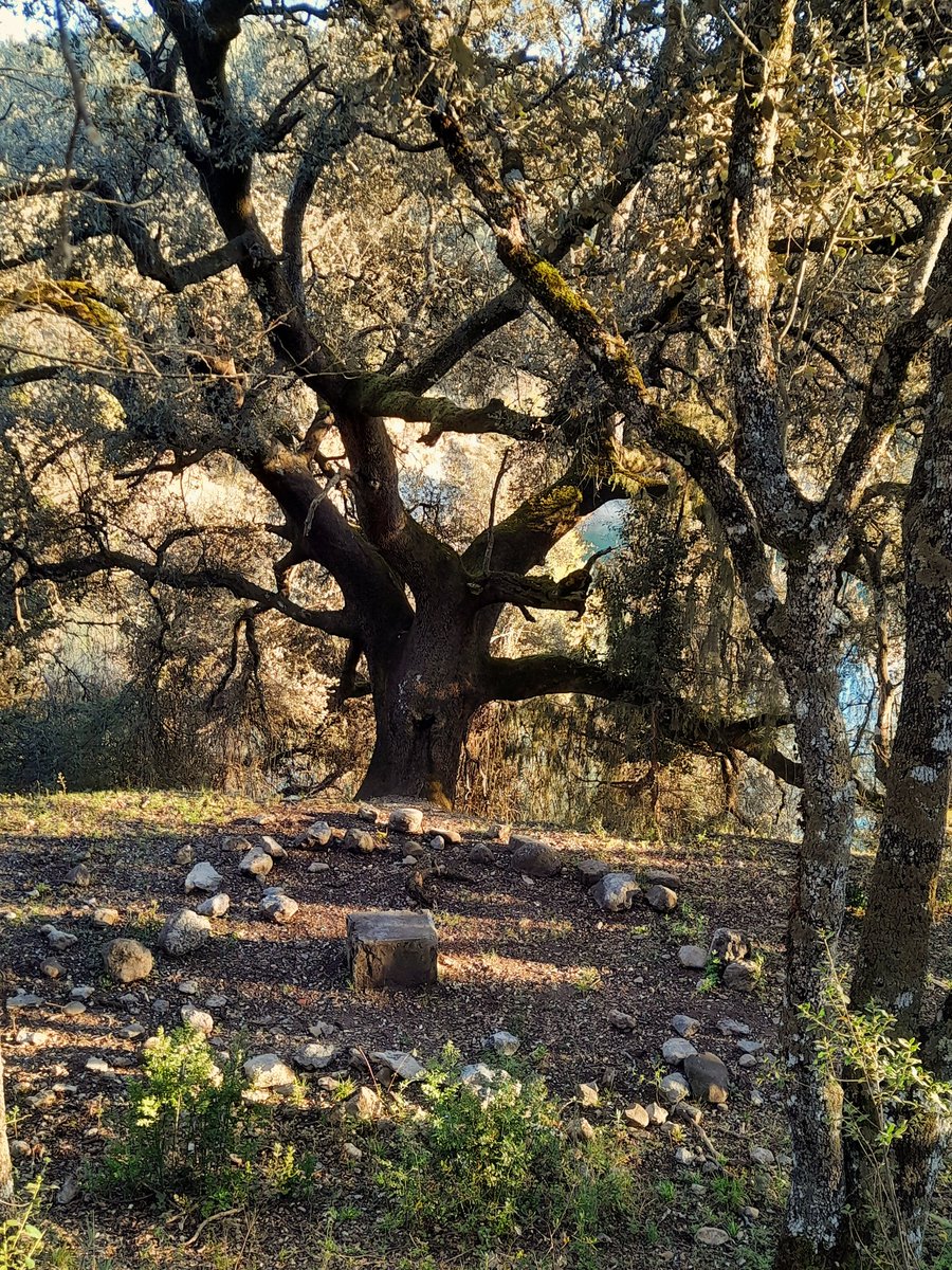 Valentine ☘️🌷 tweet media