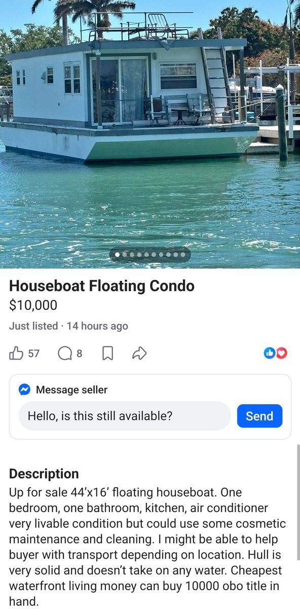 Reeo 🦝🇺🇸 tweet media