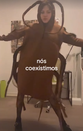 rosarina🌹🏳️⚧️ tweet media