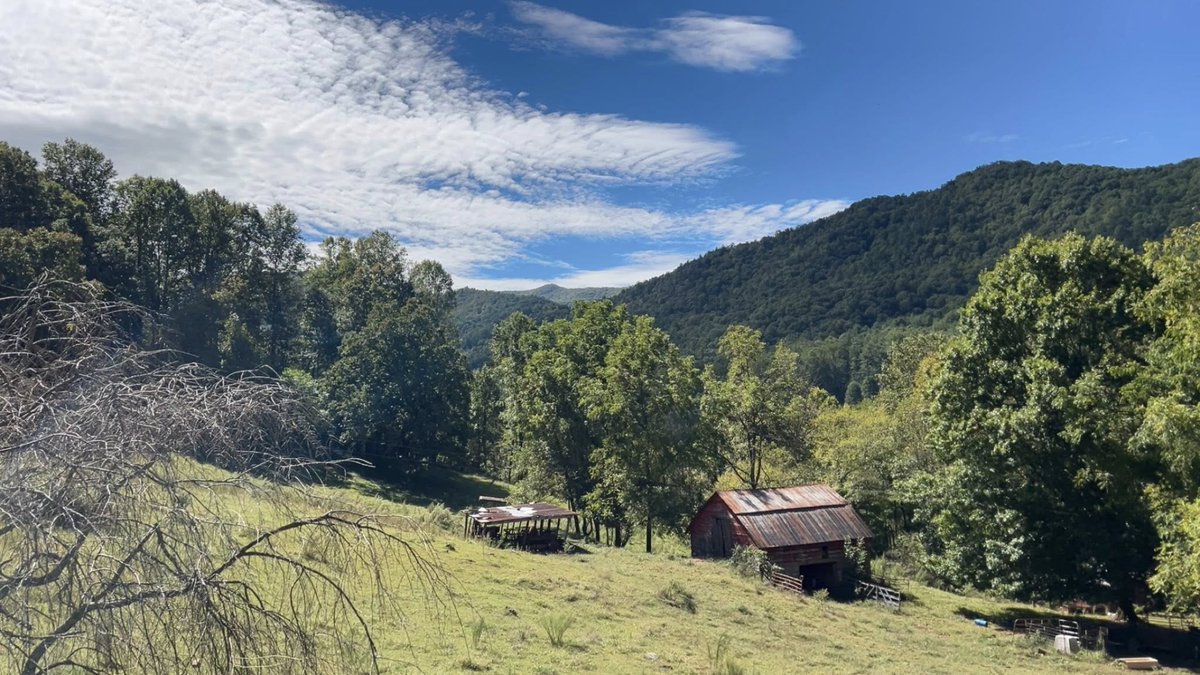 Champ_Ferguson tweet media