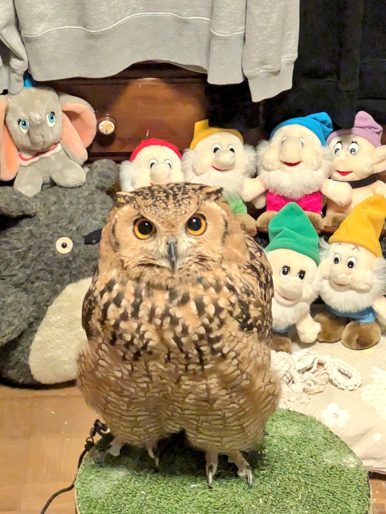 自称 女優💖結月徳子🦉🦈💕🍈 tweet media